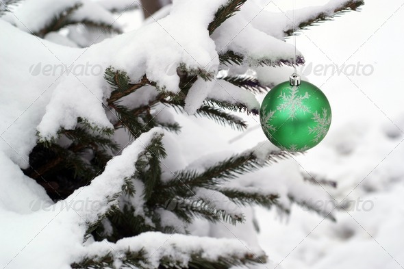 Christmas ball on snowy fir