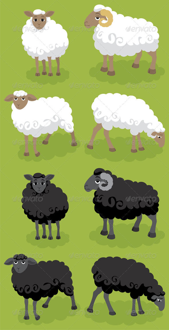 sheep   graphicriver item for