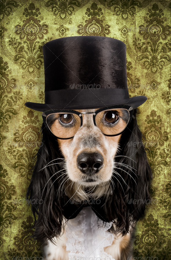 Retro dog with stove pipe hat and glasses