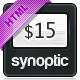 Synoptic Premium HTML &amp; CSS3 Template - ThemeForest Item for Sale