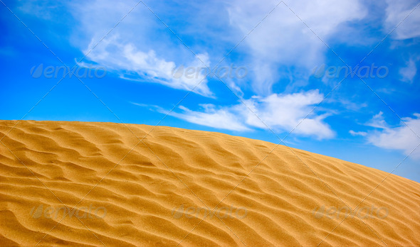 The sand dune
