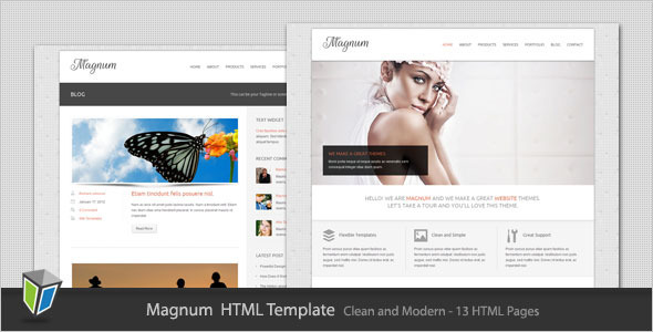 Magnum - Business and Portfolio HTML Template - ThemeForest Item for Sale