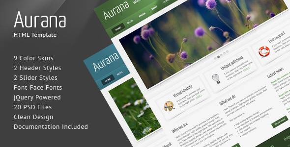 Aurana - Clean HTML Template - Creative Site Templates