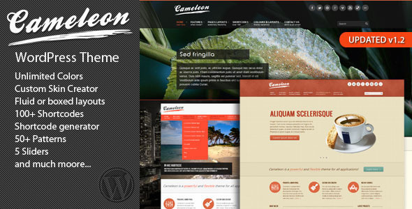 Cameleon Multipurpose WordPress Theme - Corporate WordPress