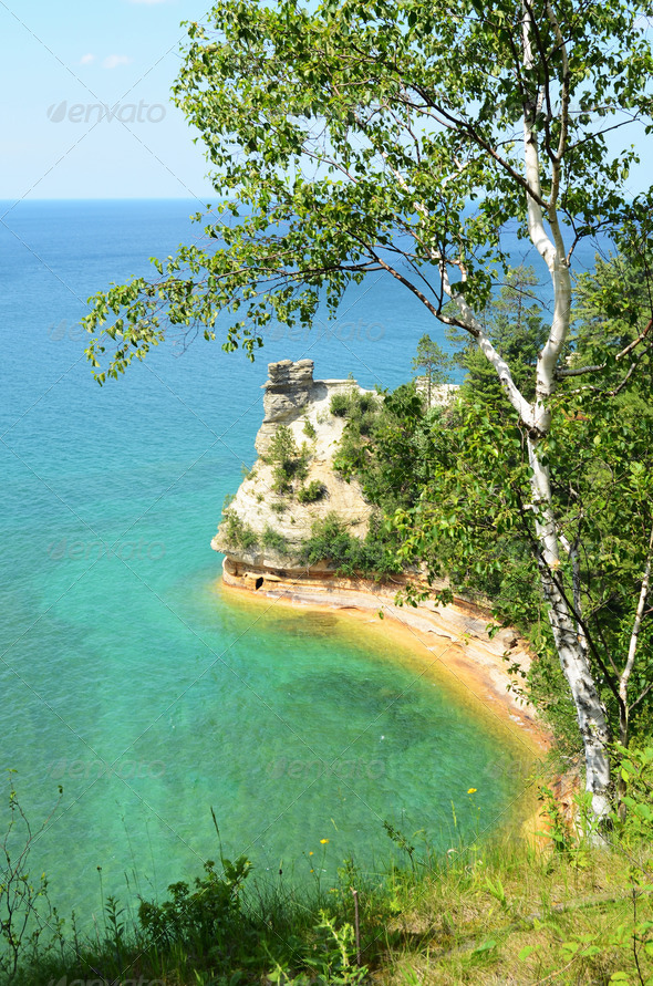 Birch Tree and Miners Castle at Pictured Rocks National Lakeshore in the Upper Peninsula of Michigan