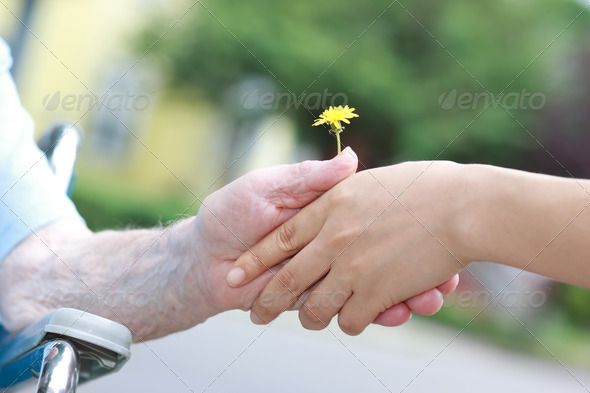 Young and senior women holding a dandelion