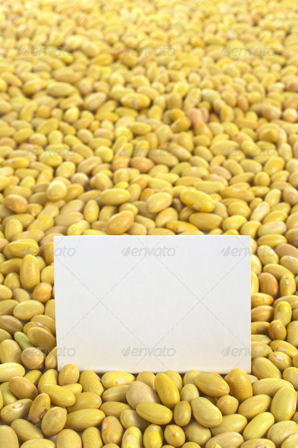 Raw Canary Beans with Blank Card