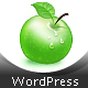 StratoSfera - Responsive WordPress Theme - ThemeForest Item for Sale