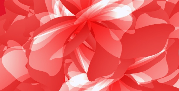 Pink Peonies HD Loop VideoHive Motion Graphic Backgrounds Abstract 80606