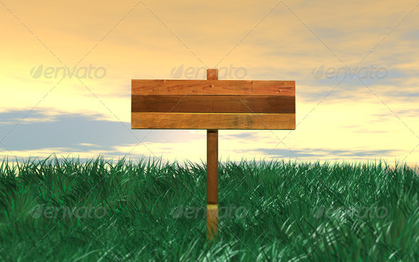 Wood Blank Sign with grass and sky