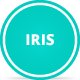 Iris - Clean / Responsive / Ajax / Wordpress - ThemeForest Item for Sale