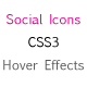 CSS3 Social Icons - CodeCanyon Item for Sale