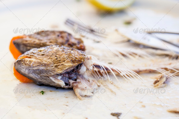 Eaten trout fish with head and bones, with cutlery