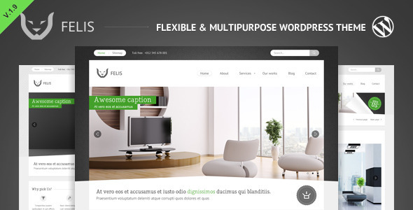 Felis - Flexible & Multipurpose Wordpress Theme - Business Corporate
