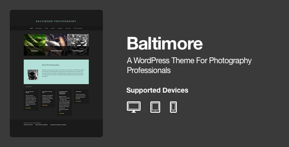 Baltimore - WordPress Photography Theme - Photography Creative