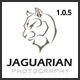 Jaguarian - Responsive Portfolio WordPress Theme - ThemeForest Item for Sale