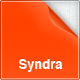 Syndra - Creative Portfolio Blogging - ThemeForest Item for Sale