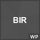 BIR - Responsive Creative WordPress Theme - ThemeForest Item for Sale