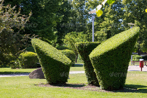 Green Topiary in a city park