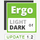 Ergo - Admin UI Template - ThemeForest Item for Sale
