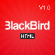 BlackBird - Responsive HTML5 Template - ThemeForest Item for Sale
