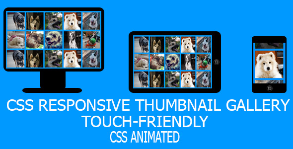 CSS Responsive Touch-Friendly Gallery with Effects - CodeCanyon Item for Sale