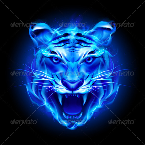 Tiger Fire Blue » Tinkytyler.org - Stock Photos & Graphics