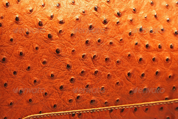 Ostrich leather