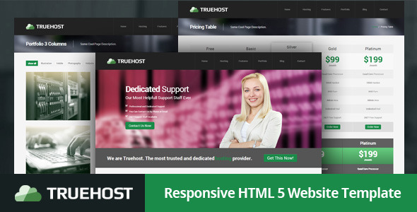 Truehost - Responsive HTML 5 Hosting Template - Hosting Technology