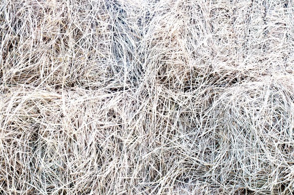 wheat residues